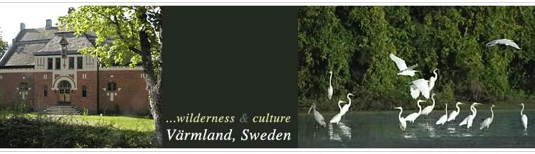 sweden, birdwatching