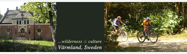 cycling in woodland